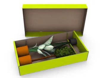 Plant shipping packaging - safe shipping of plants and flowers Plant shipping packaging - safe shipping of plants and flowers